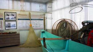 Museo della Pesca del Lago Trasimeno e l'ambiente biologico animale e vegetale