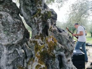 Musica e suoni tra gli olivi secolari