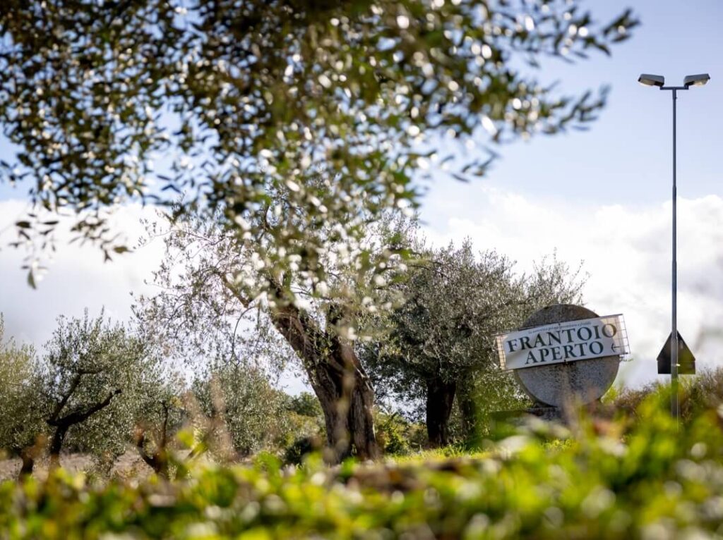 Frantoi aperti in Umbria