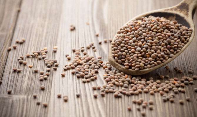 Valnerina, dove il bello è anche buono: Castelluccio di Norcia e la Lenticchia IGP